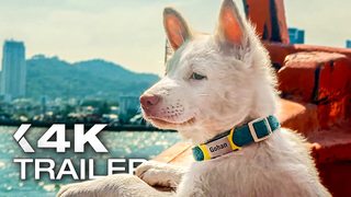 GOHAN: Drei Leben auf vier Pfoten Trailer German Deutsch (2026) Exklusiv