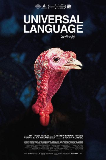 Universal Language