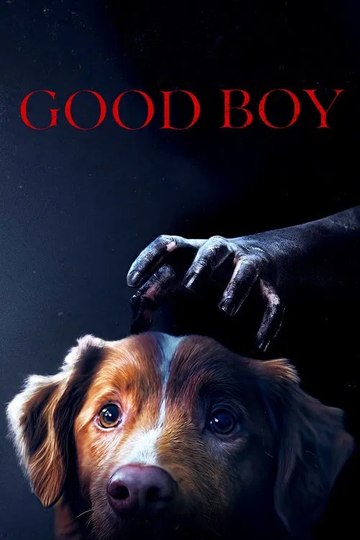 Good Boy - Trust his Instincts