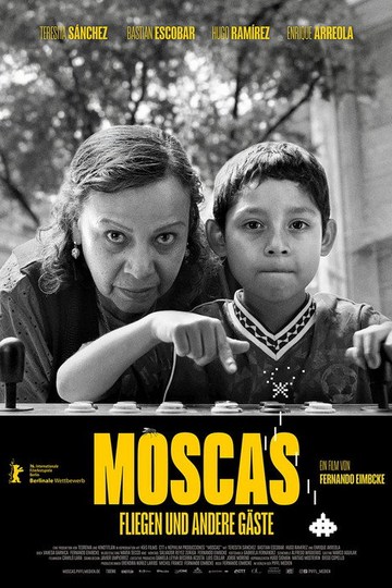 Moscas - Fliegen und andere Gäste