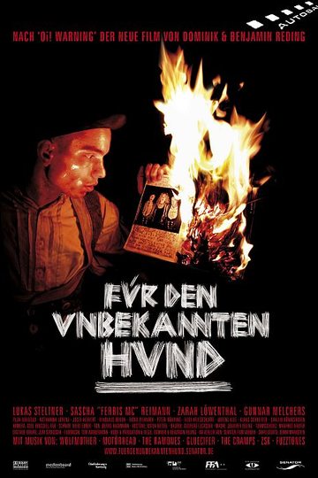 Für den unbekannten Hund