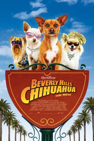 Beverly Hills Chihuahua