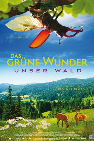 Das grüne Wunder - Unser Wald