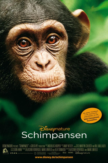 Schimpansen