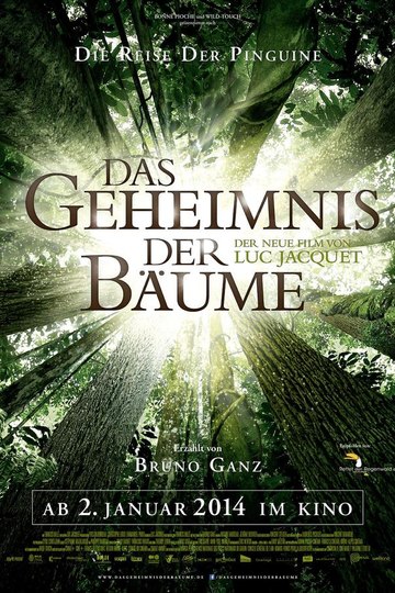 Das Geheimnis der Bäume