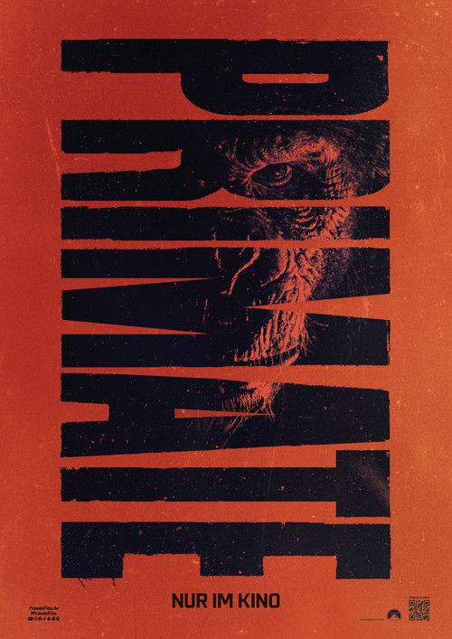 Primate