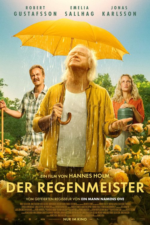 Der Regenmeister