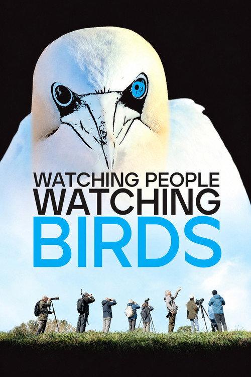 Watching People Watching Birds